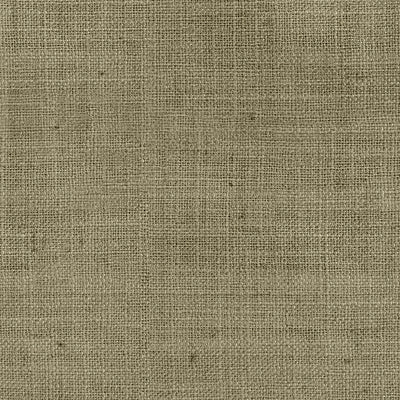 Taupe Grey #1908-8