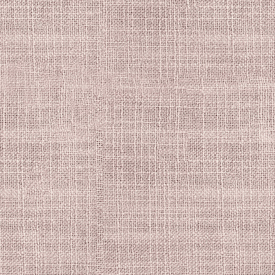 Pink Lemonade #1908-19