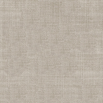 Burlywood Birch #1908-5