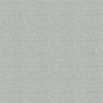 Light Grey #FA1030-20
