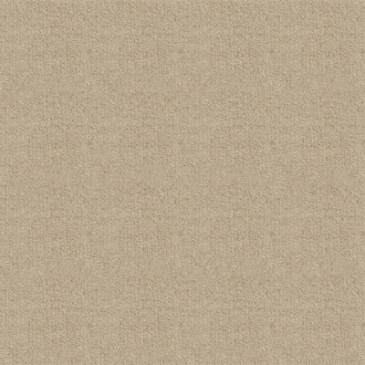 Sand Beige #FA1030-6