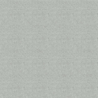 Light Grey #FA1030-20