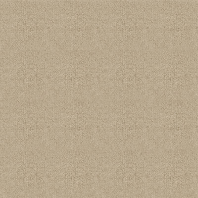 Sand Beige #FA1030-6